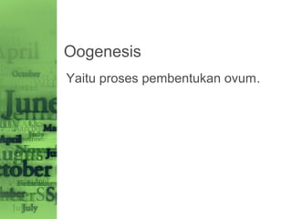 Oogenesis
Yaitu proses pembentukan ovum.
 