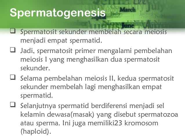 Gametogenesis 70516608