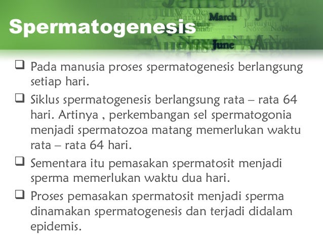 Gametogenesis 70516608