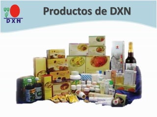 Productos de DXN
 