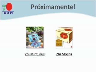 Próximamente!
Zhi Mint Plus Zhi Mocha
 