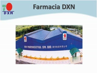 Farmacia DXN
 