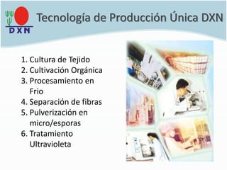 Tecnología de Producción Única DXN
1. Cultura de Tejido
2. Cultivación Orgánica
3. Procesamiento en
Frio
4. Separación de fibras
5. Pulverización en
micro/esporas
6. Tratamiento
Ultravioleta
 
