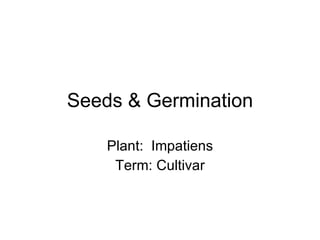 Seeds & Germination Plant:  Impatiens Term: Cultivar 