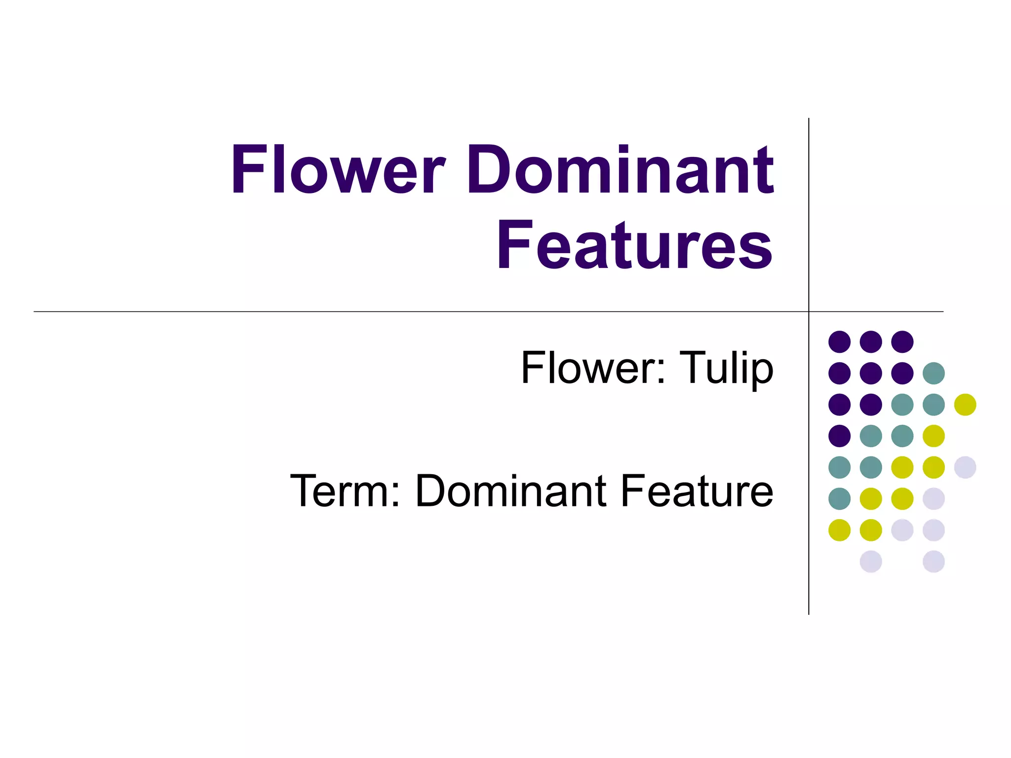 2 16 Types Of Flowers PPT