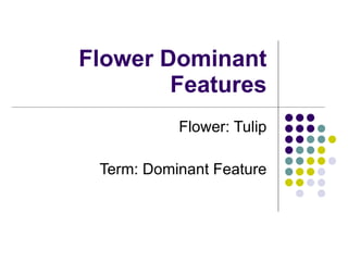 Flower Dominant Features Flower: Tulip Term: Dominant Feature 