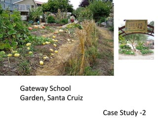 Gateway School Garden, Santa CruizCase Study -2