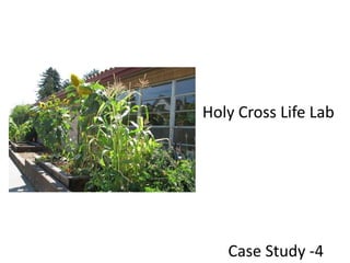 Holy Cross Life LabCase Study -4