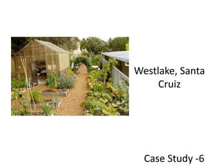 Westlake, Santa CruizCase Study -6