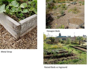 Hexagon Beds Metal StrapRaised Beds vsInground