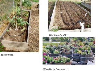 Drip Lines On/OffSoaker HoseWine Barrel Containers