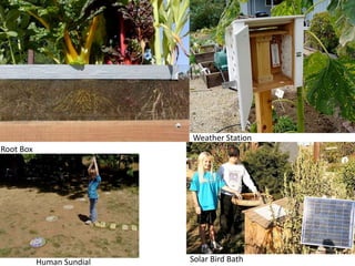 Weather StationRoot BoxSolar Bird BathHuman Sundial
