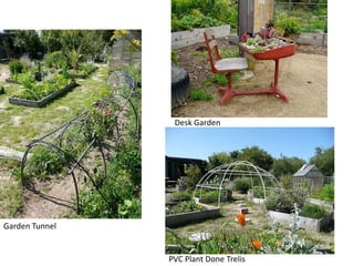 Desk GardenGarden TunnelPVC Plant Done Trelis