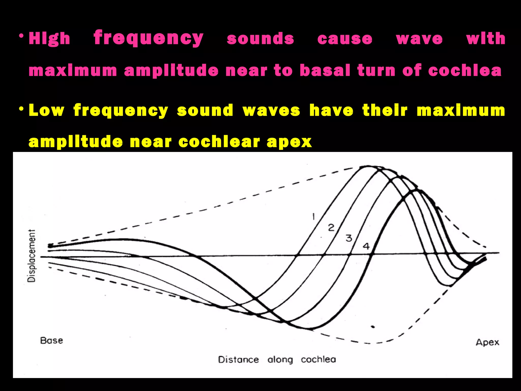 Physiology of hearing and balance | PPT