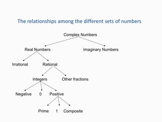 Complex Numbers
Real Numbers Imaginary Numbers
Irrational Rational
Integers Other fractions
Negative 0 Positive
Prime 1 Composite
 