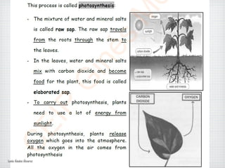 Lucía Ábalos Álvarez
 