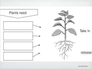 Lucía Ábalos Álvarez
 