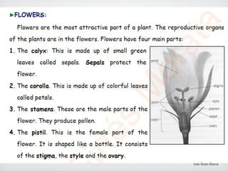 Lucía Ábalos Álvarez
 