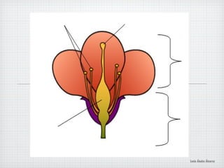 Lucía Ábalos Álvarez
 