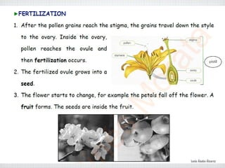 Lucía Ábalos Álvarez
 