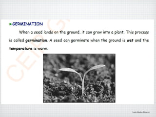 Lucía Ábalos Álvarez
 