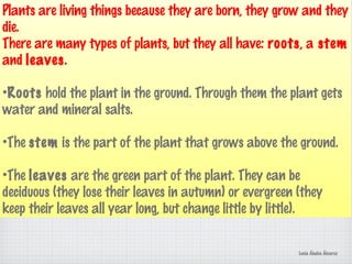 Plants are living things because they are born, they grow and they
die.
There are many types of plants, but they all have: roots, a stem
and leaves.
•Roots hold the plant in the ground. Through them the plant gets
water and mineral salts.
•The stem is the part of the plant that grows above the ground.
•The leaves are the green part of the plant. They can be
deciduous (they lose their leaves in autumn) or evergreen (they
keep their leaves all year long, but change little by little).
Lucía Ábalos Álvarez
 