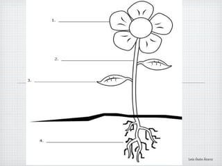 Lucía Ábalos Álvarez
 