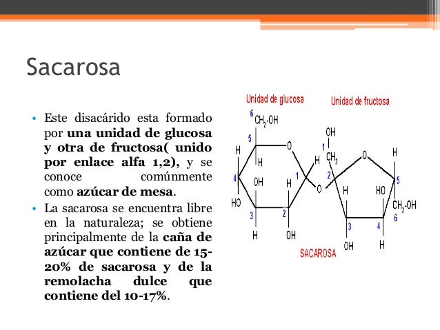 Biología molecular