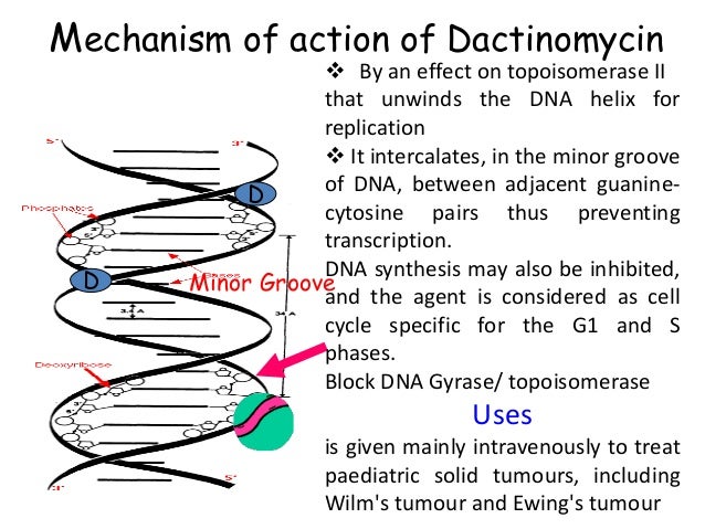 2.Antitumor Antibiotics 2.Antitumor Antibiotics