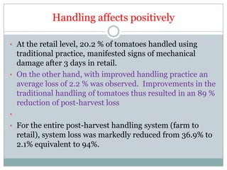 Post harvest loss reduction of Tomato | PDF