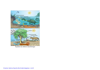 Χερσαίο και υδάτινο οικοσύστημα
Επιμέλεια: Χρήστος Χαρμπής http://e-taksh.blogspot.gr σελ.29
 