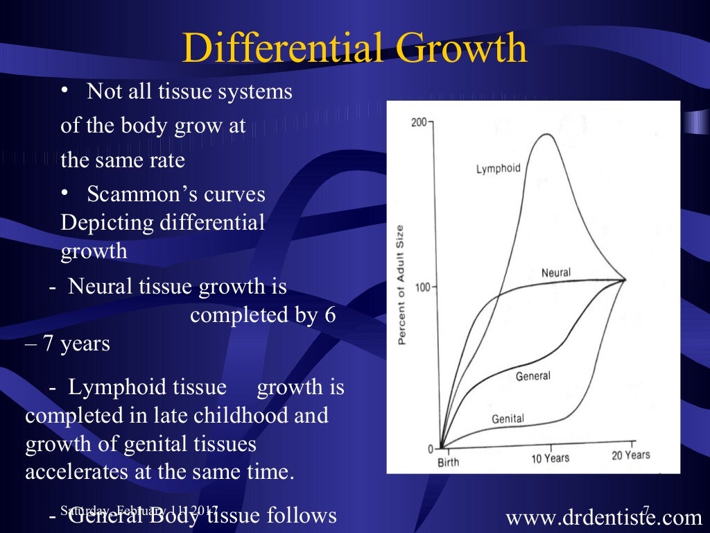 growth & development in orthodontics