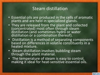 Steam distillation
• Essential oils are produced in the cells of aromatic
plants and are held in specialized glands.
• They are released from the plant and collected
(concentrated) most often through steam
distillation (and sometimes hydro or water
distillation or a combination thereof).
• Distillation is a method of separating components
based on differences in volatile constituents in a
heated mixture.
• Steam distillation involves bubbling steam
through the plant material.
• The temperature of steam is easy to control,
making it ideal for heat-sensitive essential oils.
 