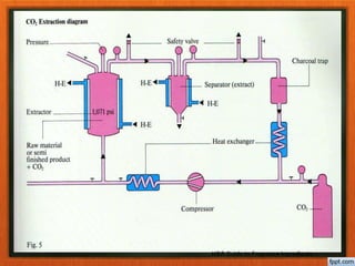 H&R Guide to Fragrance Ingredients
 