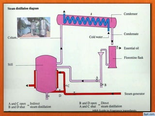 H&R Guide to Fragrance Ingredients
 