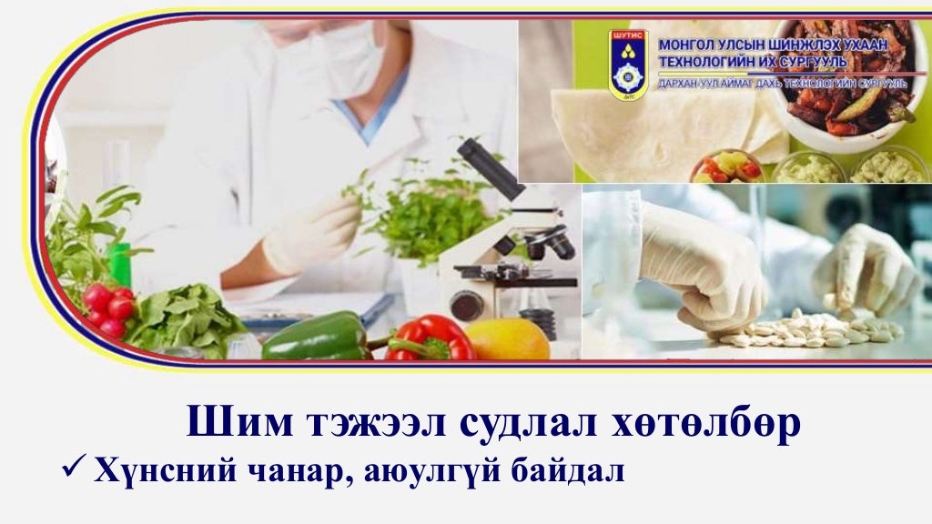 ШУТИС. ДаТС. Танилцуулга