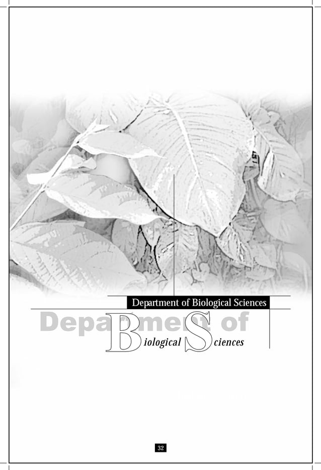 Baccalaureate Catalogue 20062007 PPT