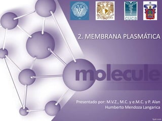 2. MEMBRANA PLASMÁTICA
Presentado por: M.V.Z., M.C. y e.M.C. y P. Alan
Humberto Mendoza Langarica
 