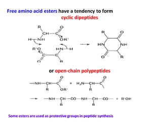 Free amino acid esters have a tendency to form
cyclic dipeptides
or open-chain polypeptides
Some esters are used as protective groups in peptide synthesis
 