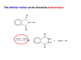 The phthalyl residue can be cleaved by hydrazinolysis
 