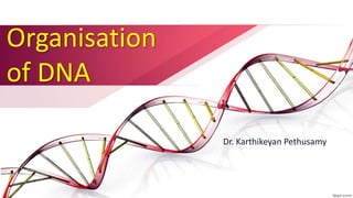 Organisation
of DNA
Dr. Karthikeyan Pethusamy
 