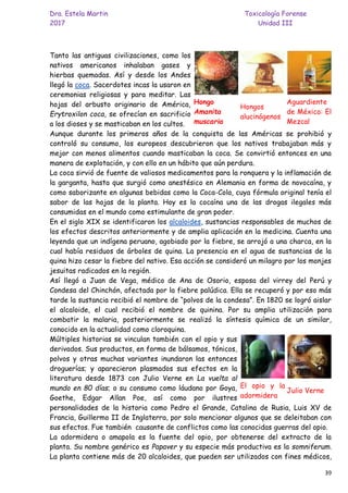 Dra. Estela Martin Toxicología Forense
2017 Unidad III
39
Tanto las antiguas civilizaciones, como los
nativos americanos inhalaban gases y
hierbas quemadas. Así y desde los Andes
llegó la coca. Sacerdotes incas la usaron en
ceremonias religiosas y para meditar. Las
hojas del arbusto originario de América,
Erytroxilon coca, se ofrecían en sacrificio
a los dioses y se masticaban en los cultos.
Aunque durante los primeros años de la conquista de las Américas se prohibió y
controló su consumo, los europeos descubrieron que los nativos trabajaban más y
mejor con menos alimentos cuando masticaban la coca. Se convirtió entonces en una
manera de explotación, y con ello en un hábito que aún perdura.
La coca sirvió de fuente de valiosos medicamentos para la ronquera y la inflamación de
la garganta, hasta que surgió como anestésico en Alemania en forma de novocaína, y
como saborizante en algunas bebidas como la Coca-Cola, cuya fórmula original tenía el
sabor de las hojas de la planta. Hoy es la cocaína una de las drogas ilegales más
consumidas en el mundo como estimulante de gran poder.
En el siglo XIX se identificaron los alcaloides, sustancias responsables de muchos de
los efectos descritos anteriormente y de amplia aplicación en la medicina. Cuenta una
leyenda que un indígena peruano, agobiado por la fiebre, se arrojó a una charca, en la
cual había residuos de árboles de quina. La presencia en el agua de sustancias de la
quina hizo cesar la fiebre del nativo. Esa acción se consideró un milagro por los monjes
jesuitas radicados en la región.
Así llegó a Juan de Vega, médico de Ana de Osorio, esposa del virrey del Perú y
Condesa del Chinchón, afectada por la fiebre palúdica. Ella se recuperó y por eso más
tarde la sustancia recibió el nombre de “polvos de la condesa”. En 1820 se logró aislar
el alcaloide, el cual recibió el nombre de quinina. Por su amplia utilización para
combatir la malaria, posteriormente se realizó la síntesis química de un similar,
conocido en la actualidad como cloroquina.
Múltiples historias se vinculan también con el opio y sus
derivados. Sus productos, en forma de bálsamos, tónicos,
polvos y otras muchas variantes inundaron las entonces
droguerías; y aparecieron plasmados sus efectos en la
literatura desde 1873 con Julio Verne en La vuelta al
mundo en 80 días; o su consumo como láudano por Goya,
Goethe, Edgar Allan Poe, así como por ilustres
personalidades de la historia como Pedro el Grande, Catalina de Rusia, Luis XV de
Francia, Guillermo II de Inglaterra, por solo mencionar algunos que se deleitaban con
sus efectos. Fue también causante de conflictos como las conocidas guerras del opio.
La adormidera o amapola es la fuente del opio, por obtenerse del extracto de la
planta. Su nombre genérico es Papaver y su especie más productiva es la somniferum.
La planta contiene más de 20 alcaloides, que pueden ser utilizados con fines médicos,
Hongo
Amanita
muscaria
Hongos
alucinógenos
Aguardiente
de México: El
Mezcal
El opio y la
adormidera
Julio Verne
 