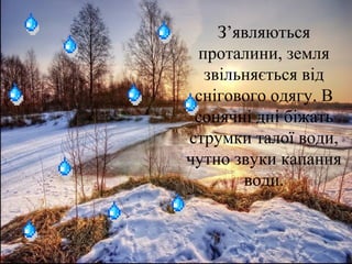 З’являються
проталини, земля
звільняється від
снігового одягу. В
сонячні дні біжать
струмки талої води,
чутно звуки капання
води.
 