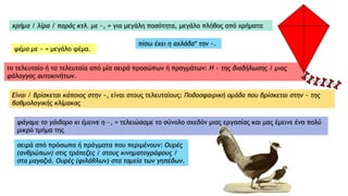 χρήμα / λίρα / παράς κτλ. με ~, = για μεγάλη ποσότητα, μεγάλο πλήθος από χρήματα
ψέμα με ~ = μεγάλο ψέμα.
πίσω έχει η αχλάδα* την ~.
το τελευταίο ή τα τελευταία από μία σειρά προσώπων ή πραγμάτων: H ~ της διαδήλωσης / μιας
φάλαγγας αυτοκινήτων.
Είναι / βρίσκεται κάποιος στην ~, είναι στους τελευταίους: Ποδοσφαιρική ομάδα που βρίσκεται στην ~ της
βαθμολογικής κλίμακας
φάγαμε το γάιδαρο κι έμεινε η ~, = τελειώσαμε το σύνολο σχεδόν μιας εργασίας και μας έμεινε ένα πολύ
μικρό τμήμα της
σειρά από πρόσωπα ή πράγματα που περιμένουν: Ουρές
(ανθρώπων) στις τράπεζες / στους κινηματογράφους /
στα μαγαζιά. Ουρές (φιλάθλων) στα ταμεία των γηπέδων.
 