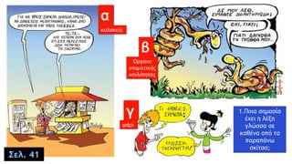 α
β
γ 1.Ποια σημασία
έχει η λέξη
γλώσσα σε
καθένα από τα
παραπάνω
σκίτσα;
κολακεία
Όργανο
στοματικής
κοιλότητας
ψάρι
Σελ. 41
 