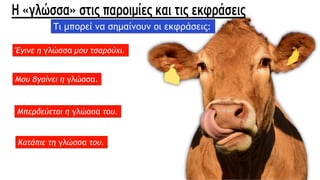 Τι μπορεί να σημαίνουν οι εκφράσεις:
Έγινε η γλώσσα μου τσαρούχι.
Μου βγαίνει η γλώσσα.
Μπερδεύεται η γλώσσα του.
Κατάπιε τη γλώσσα του.
 