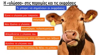 Τι μπορεί να σημαίνουν οι εκφράσεις:
Έγινε η γλώσσα μου τσαρούχι.
στέγνωσε
Μου βγαίνει η γλώσσα.
κουράζομαι, ταλαιπωρούμαι
Μπερδεύεται η γλώσσα του.
δυσκολεύεται στην άρθρωση των λέξεων
Κατάπιε τη γλώσσα του.
έμεινε άναυδος ή απλώς δε θέλει να μιλήσει
 