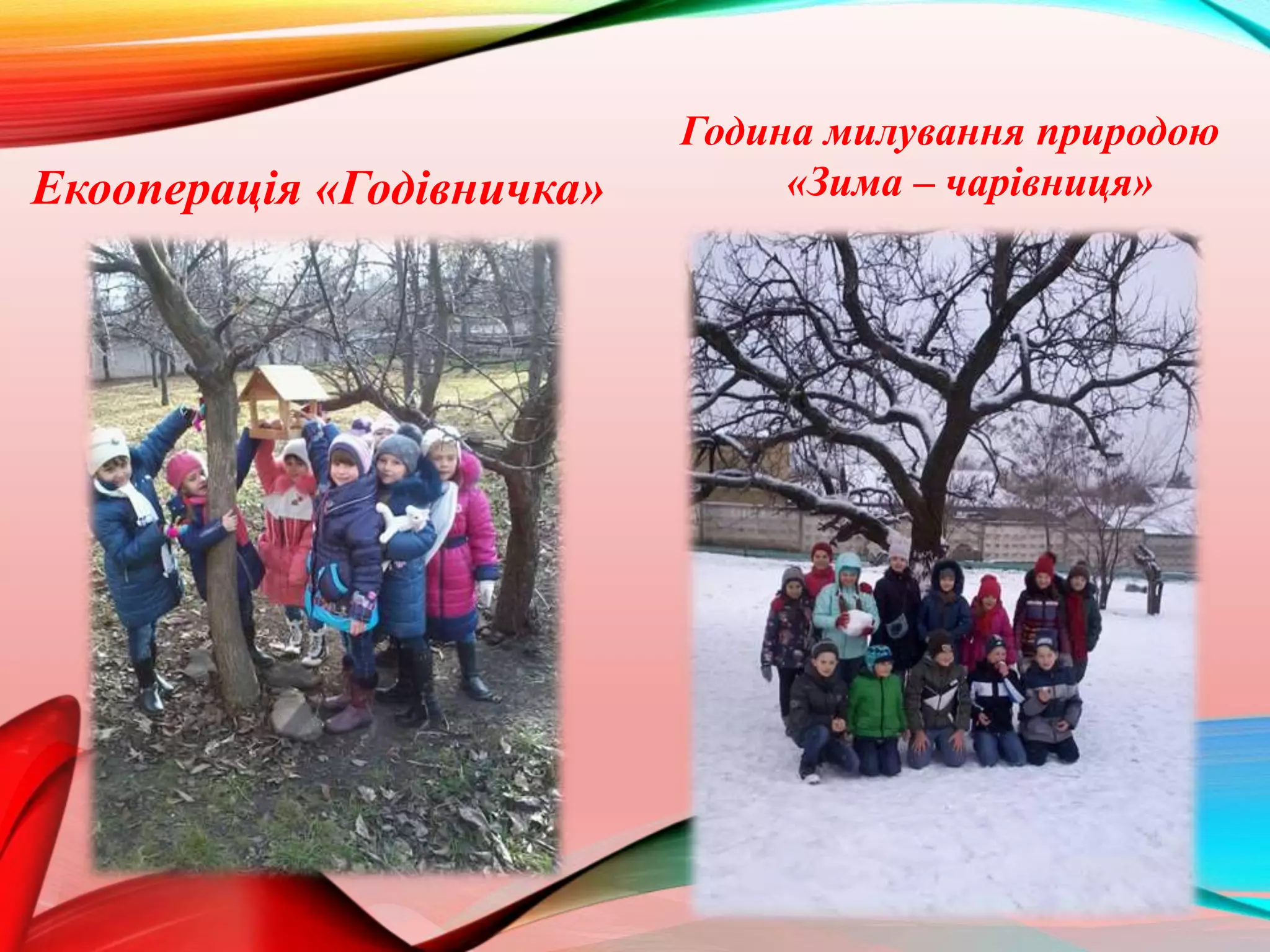 Година милування природою
«Зима – чарівниця»Екооперацiя «Годівничка»
 