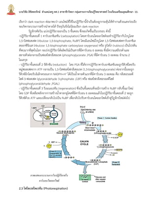 นายวิชัย ลิขิตพรรักษ์ ตาแหน่งครู คศ.1 สาขาชีววิทยา กลุ่มสาระการเรียนรู้วิทยาศาสตร์ โรงเรียนเตรียมอุดมศึกษา 10.
เรียกว่า dark reaction ต่อมาพบว่า เอนไซม์ที่ใช้ในปฏิกิริยานี้จาเป็นต้องถูกกระตุ้นให้ทางานด้วยแสงก่อนจึง
จะเกิดกระบวนการสร้างนาตาลได้ ปัจจุบันจึงไม่นิยมเรียก dark reaction
วัฏจักรคัลวิน แบ่งปฎิกิริยาออกเป็น 3 ขั้นตอน ซึ่งจะเกิดขึ้นเป็นวงรอบ ดังนี้
-ปฏิกิริยาขั้นตอนที่ 1 คาร์บอกซิเลชัน (carboxylation) โดยคาร์บอนไดออกไซด์จะทาปฏิกิริยากับไรบูโลส
1,5-บิสฟอสเฟต (ribulose 1,5-bisphosphate, RuBP) โดยมีเอนไซม์ไรบูโลส 1,5-บิสฟอสเฟตคาร์บอกซิเล
สออกซีจีเนส (ribulose 1,5-bisphosphate carboxylase oxygenase) หรือ รูบิสโก (rubisco) เป็นโปรตีน
ที่พบมากที่สุดในโลก จะเร่งปฏิกิริยาได้ผลิตภัณ์เป็นสารที่มีคาร์บอน 6 อะตอม ซึ่งมีความเสถียรต่าและ
สลายตัวต่อกลายเป็นฟอสโฟกลีเซอเรต (phosphoglycerate ,PGA) ที่มีคาร์บอน 3 อะตอม จานวน 2
โมเลกุล
- ปฏิกิริยาขั้นตอนที่ 2 รัดักชัน (reduction) โดย PGA ที่ได้จากปฏิกิริยาคาร์บอกซิเลชันจะถูกรีดิวซ์โดยรับ
หมู่ฟอสเฟตจาก ATP กลายเป็น 1,3-บิสฟอสโฟกลีเซอเรต (1,3-bisphosphoglycerate) ต่อจากนั้นจะถูก
รีดิวซ์อีกโดยรับอิเล็กตรอนจาก NADPH+H+ ได้เป็นน้าตาลตัวแรกที่มีคาร์บอน 3 อะตอม คือ กลีเซอรอลดี
ไฮด์-3-ฟอสเฟต (glyceraldehyde 3-phosphate ,G3P) หรือ ฟอสโฟกลีเซอรอลดีไฮด์
(phosphoglyceraldehyde ,PGAL)
- ปฏิกิริยาขั้นตอนที่ 3 รีเจเนอเรชัน (regeneration) ซึ่งเป็นขั้นตอนที่จะมีการสร้าง RuBP กลับขึ้นมาใหม่
โดย G3P ที่เหลือหลังจากการสร้างน้าตาลกลูโคสที่มีคาร์บอน 6 อะตอมแล้วในปฏิกิริยาขั้นตอนที่ 2 จะถูก
รีดิวซ์ด้วย ATP และเปลี่ยนกลับไปเป็น RuBP เพื่อกลับไปรับคาร์บอนไดออกไซด์เข้าสู่วัฏจักรใหม่ต่อไป
2.3 โฟโตเรสไพเรชัน (Photorespiration)
ภาพแสดงกระบวนการในปฏิกิริยาตรึง
คาร์บอนไดออกไซด์
 