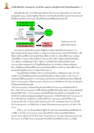 นายวิชัย ลิขิตพรรักษ์ ตาแหน่งครู คศ.1 สาขาชีววิทยา กลุ่มสาระการเรียนรู้วิทยาศาสตร์ โรงเรียนเตรียมอุดมศึกษา 11.
โฟโตเรสไพเรชัน หรือ การหายใจด้วยแสงของพืช หมายถึง กระบวนการตรึงออกซิเจน (O2) ด้วย RuBP
โดยมีเอนไซม์ rubisco เป็นตัวเร่งปฏิกิริยา ซึ่งต่างจากการหายใจระดับเซลล์หรือการสลายสารอาหารตามปกติ
ที่เกิดขึ้นกับเซลล์ทั่วไป แต่กระบวนการนี้จะเกิดขึ้นเฉพาะเซลล์ที่มีคลอโรพลาสต์เท่านั้น
Otto Warburg เป็นนักเคมีชาวเยอรมัน เป็นผู้ศึกษาการสังเคราะห์แสงในสาหร่ายและพบว่า การ
สังเคราะห์แสงของสาหร่ายจะถูกระงับโดย O2 และพบว่าการระงับกระบวนการ ดังกล่าวนี้ เกิดกับพืช C3 (พืช
ที่สังเคราะห์ด้วยแสงที่มีสารประกอบคงตัวชนิดแรกที่ได้จากการตรึง CO2 เป็นสารที่มีคาร์บอน 3 อะตอม)
ทั้งหมดที่ศึกษา กระบวนการดังกล่าวนี้เรียกว่า Warburg Effect อัตราการสังเคราะห์แสงของถั่วเหลือง
ที่ O2 เข้มข้น 0 เปอร์เซ็นต์จะสูงกว่าที่ O2 เข้มข้น 21 เปอร์เซ็นต์ ยิ่งไปกว่านั้นเปอร์เซ็นต์การระงับ
กระบวนการสังเคราะห์แสงของ O2 นี้ จะสูงขึ้นเมื่อระดับของ CO2 ต่าลงอัตราการสังเคราะห์แสงของ
พืช C4 (พืชที่สังเคราะห์ด้วยแสงที่มีสารประกอบคงตัวชนิดแรกที่ได้จากการตรึง CO2 เป็นสารที่มีคาร์บอน 4
อะตอม)จะไม่ค่อยได้ผลกระทบจากการผันแปรปริมาณของ O2
ในขณะนี้เป็นที่ทราบกันดีแล้วว่า อัตราการหายใจของใบพืช C3 ในที่มีแสงจะมากเป็น 2 ถึง 3เท่า
ของอัตราการหายใจในที่มืดและจะเร็วประมาณครึ่งหนึ่งของอัตราการสังเคราะห์แสง (การจับ CO2) การ
หายใจของใบที่ได้รับแสงจะเกิดจากการหายใจในสภาพปกติรวมกับการหายใจที่เกิดเฉพาะในสภาพที่มีแสงซึ่ง
เรียกว่า Photorespiration ทั้งสองกระบวนการ เป็นกระบวนการทางชีวะที่แตกต่างกัน โดยการหายใจจะเกิด
ในไซโตพลาสต์และไมโตคอนเดรีย
ส่วน Photorespiration เกิดในคลอโรพลาสต์ เพอรอกซิโซม (Peroxisomes) และไมโตคอนเดรีย ใน
พืช C4 ไม่พบว่ามี Photorespiration เกิดขึ้น ซึ่งเป็นสาเหตุให้พืชC4มีประสิทธิภาพในการ สังเคราะห์แสงในที่
มีแสงแดดจัดดีกว่าพืช C3 Photorespiration จะเกิดเร็วขึ้นเมื่อสภาพแวดล้อมมี O2 ในระดับสูงมี CO2 ใน
ระดับต่า มีความเข้มของแสงสูงและอุณหภูมิสูงPhotorespiration เกิดโดยที่เอนไซม์ RuBP Carboxylase จะ
จับ O2 ให้รวมกับRuBP แทนที่จะจับ CO2 ซึ่งในกรณีนี้ RuBP Carboxylase จะทาหน้าที่เป็น RuBP
Oxygenase ซึ่งการจับ O2 นี้ สามารถอธิบายWarburg Effect ได้ การรวมกันของ RuBP กับ O2 นี้ ทาให้
เกิด Phosphoglycolic acid ซึ่งมีคาร์บอน 2 อะตอม ในโมเลกุลของPhosphoglycolic acid จะมี O2 ที่มา
จาก O2
ดังนั้น O2 และ CO2 จึงแก่งแย่งที่จะทาปฏิกิริยากับ RuBP โดยการคะตะไลต์ของเอนไซม์ตัวเดียวกัน
การที่พืช C4 มีการจับ CO2 ใน Bundle Sheath นั่นเองที่ทาให้ O2 ไม่สามารถแข่งขันด้วยได้เพราะ
Bundle sheath อยู่ห่างจากปากใบเข้าไป ต่อมา Phosphoglycolic Acid จะถูก Dephosphorylated เกิด
เป็น Glycolic Acid ซึ่งมีคาร์บอน 2 อะตอมและคาร์บอกซิลของกรดชนิดนี้จะกลายเป็น CO2 ในที่สุด
ภาพแสดงกระบวนการใน
ปฏิกิริยาโฟโตเรสไพเรชัน
 